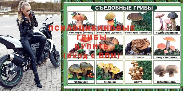 спайс Алзамай