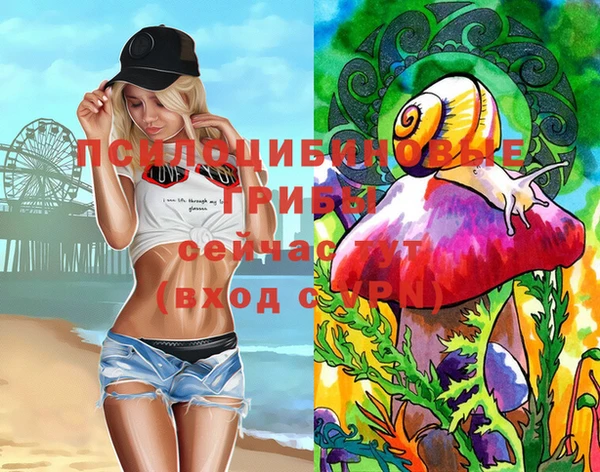 спайс Алзамай