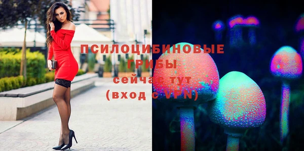 спайс Алзамай